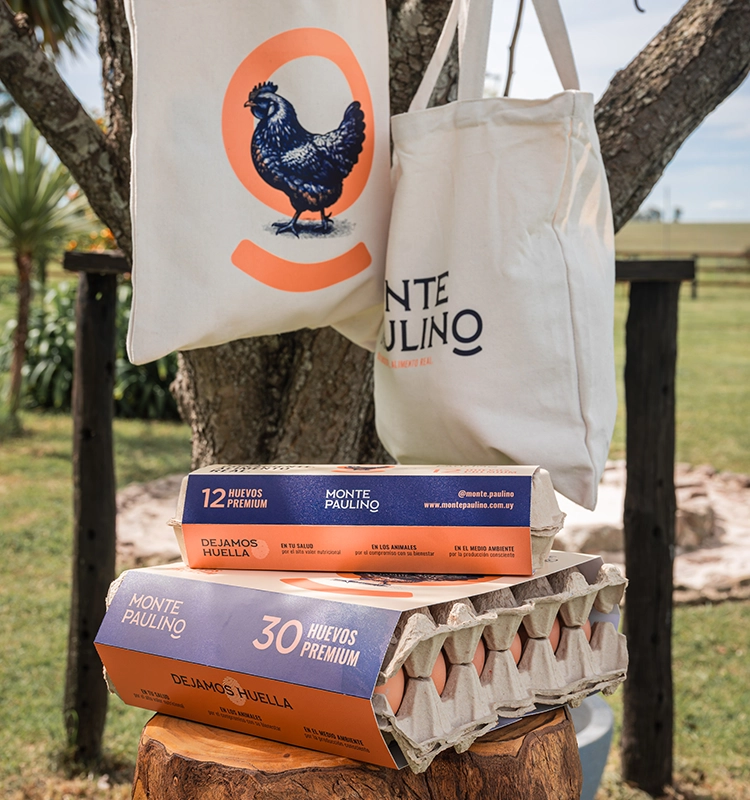 Productos Monte Paulino